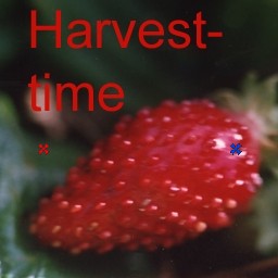 Harvest-time_v01