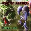 War of Nature v1.03 AI