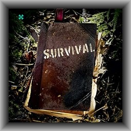 Survival 5.93